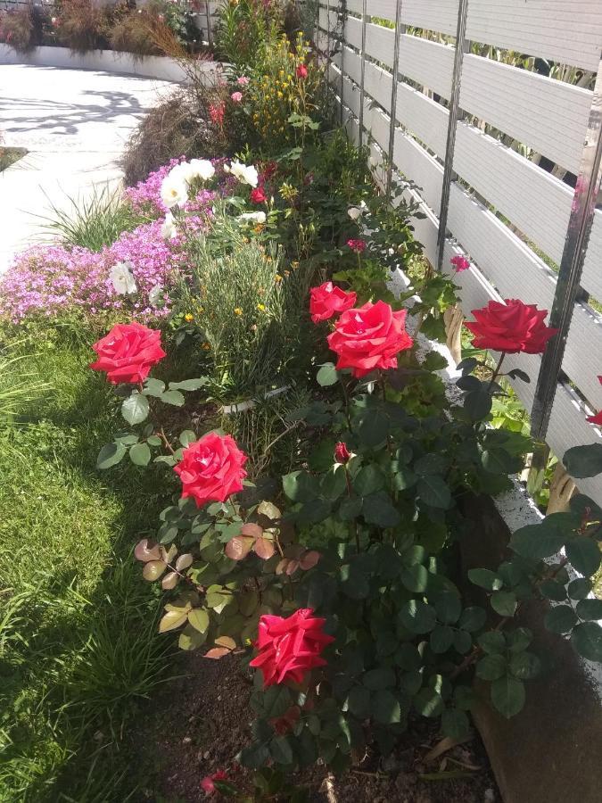 Oasis 호텔 파르가 외부 사진